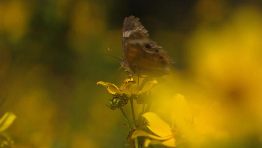 Year-round Nature Exploration at Springfield Conservation Center